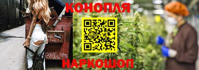спиды Заводоуковск
