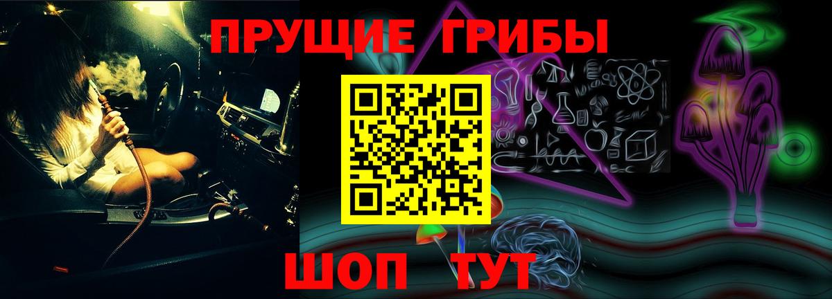 Галлюциногенные грибы Psilocybine cubensis Лабытнанги